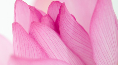 �n�i�X�^�W�I